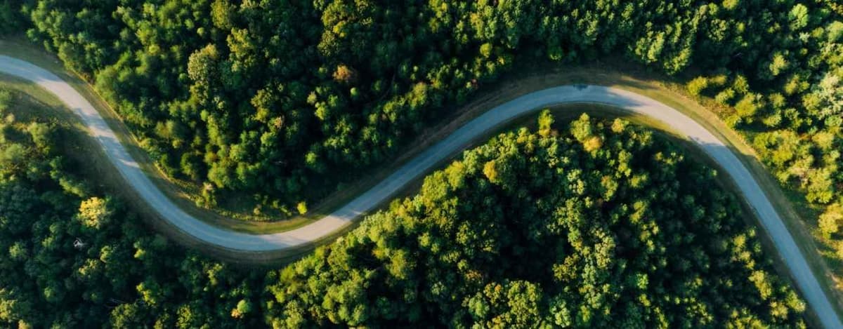 Book Executive Travel Sustainably