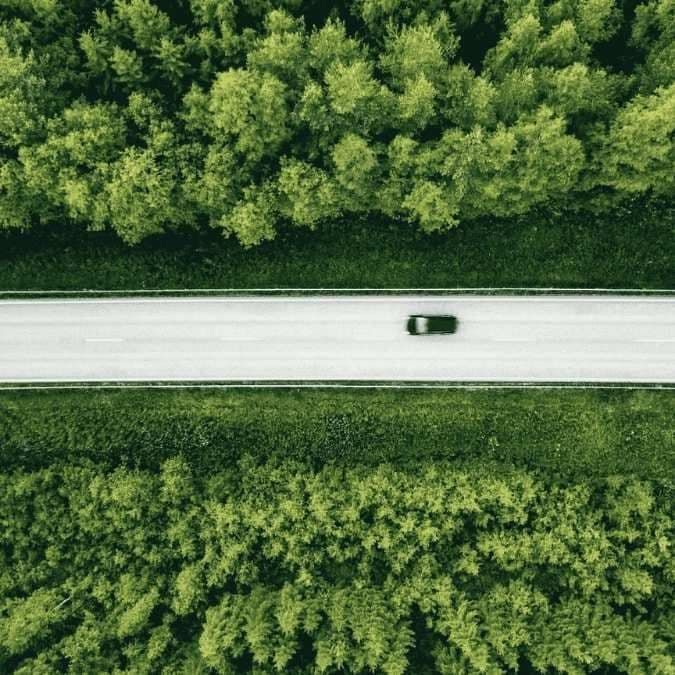 Dynamic Solutions for Enhanced Sustainability