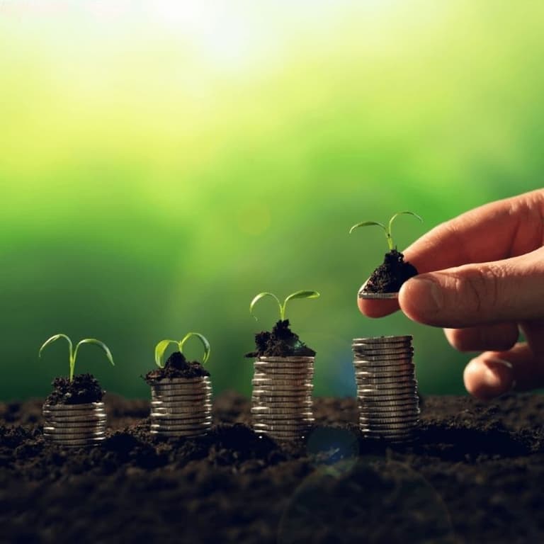 Eco-Friendly Transport at Affordable Black-Car Rates